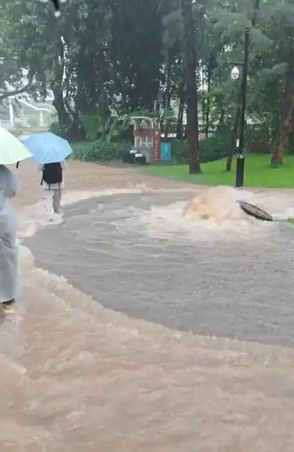 暴雨突袭致深圳1300+公园关闭，中超球员直言训练场变泳池